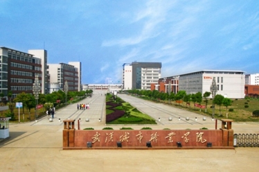武汉城市职业学院防水维修