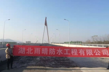 武汉三阳路立交桥防水