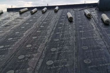 宜洋汽车后市场B4楼屋面防水维修工程