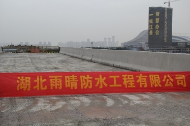 杨泗港快速通道