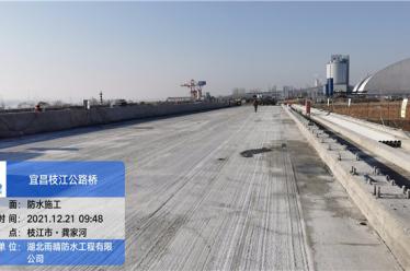 枝江市姚家港疏港公路项目